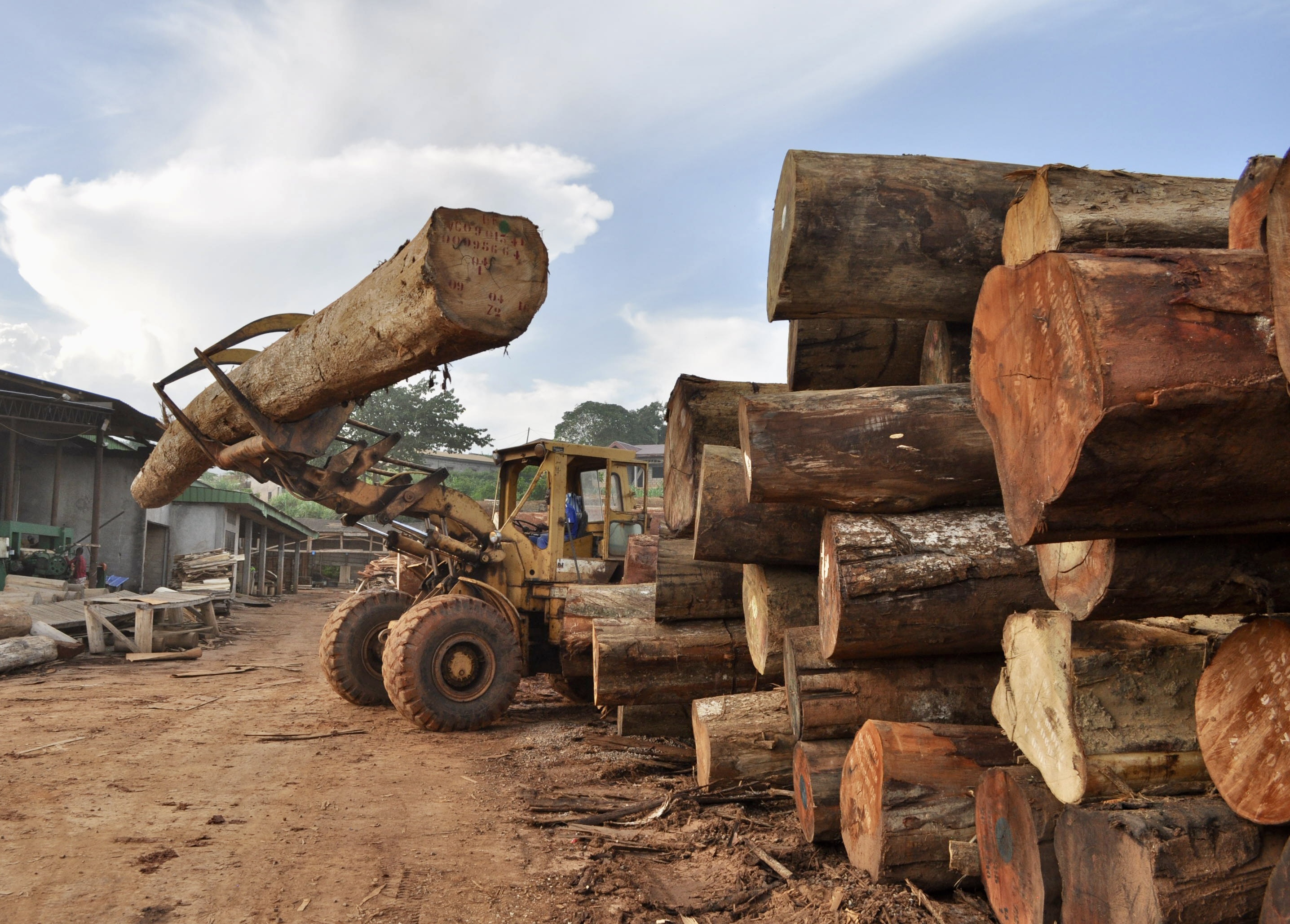 Log in skidder at factory